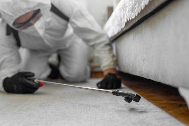 Professional Bed Bug Control technician working in Finderne, NJ
