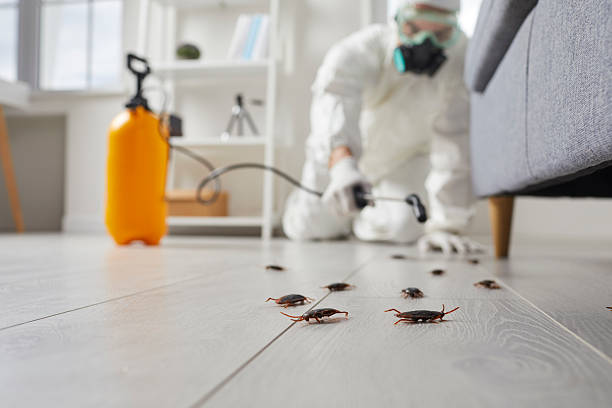 Trusted Cockroach Control service in Finderne, NJ - Nex Pest Control