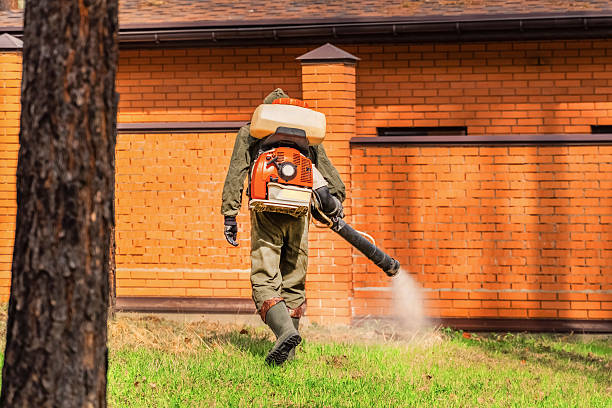 Trusted Bed Bug Control service in Finderne, NJ - Nex Pest Control
